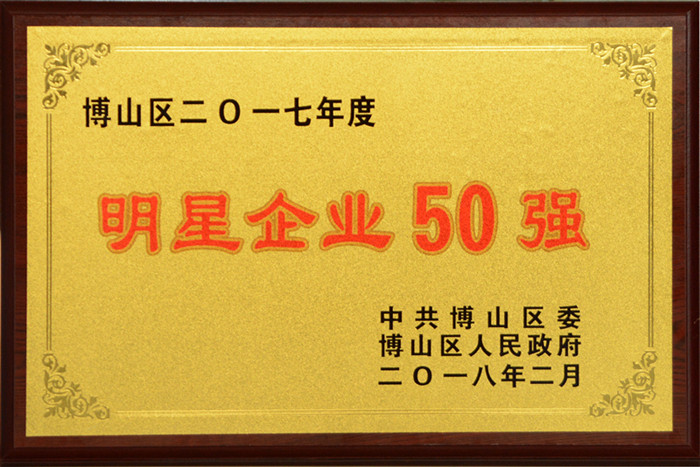 集團(tuán)公司榮獲“2017年度博山區(qū)明星企業(yè)50強(qiáng)”稱號(hào)